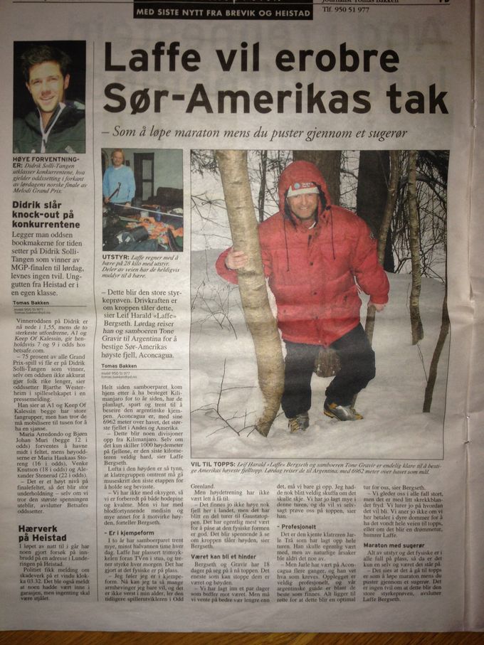 Beskrivelse