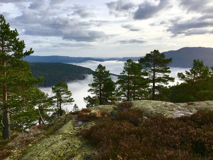 Over tåka :-)